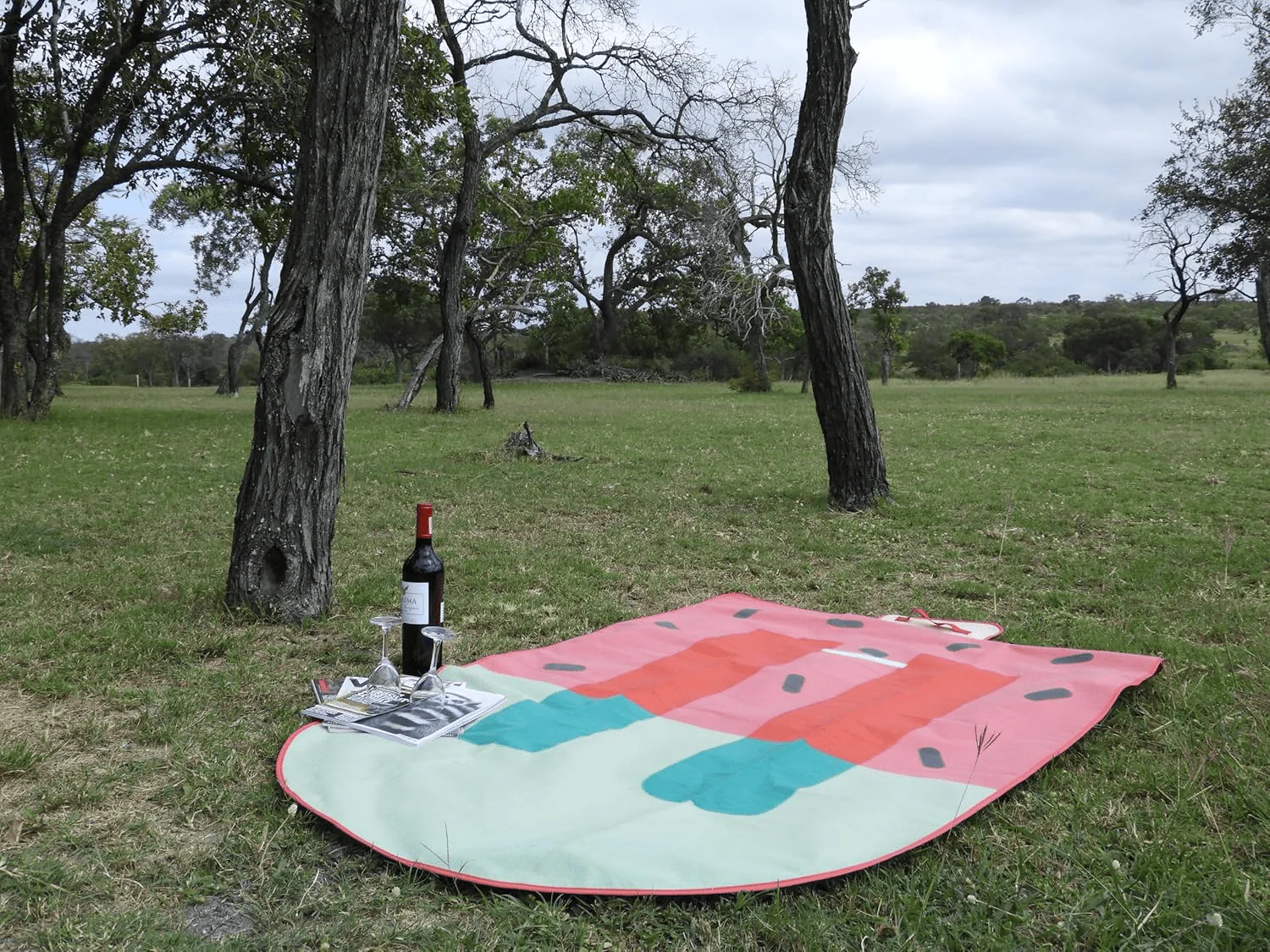 Gift Republic Ice Lolly Picnic Rug, 18x36 cm (Rectangular) - Lolly Shaped Blanket - Image 3