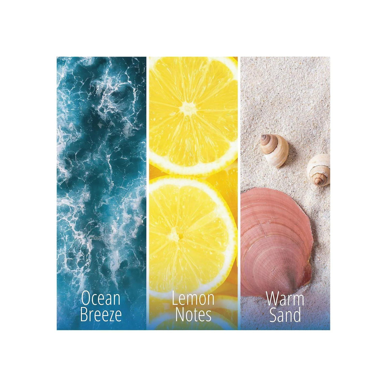 KIFRA OCEAN Concentrated Laundry Fragrance 6.76 Fl Oz 200ml 80 Washing Cycles - Image 8